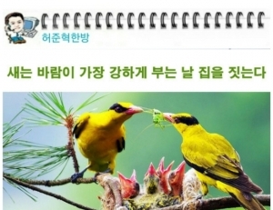 기사이미지